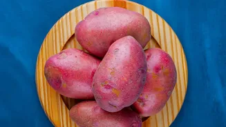 National Potato Day 2026 Travels From Bengal to Uttarakhand