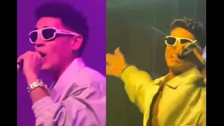 Delhi Goes Berserk As Panther Performs Galat Karam: Watch