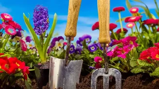 Rotate Only after Checking Soil, Temperature and Light