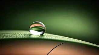 Unlocking Radiant Skin & Luscious Hair: The 5 Powerful Benefits of Collagen