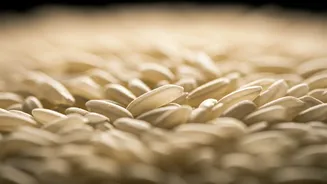 Is Your Rice Real? Simple Home Tests for Suspicious Grains & Delicious Recipes