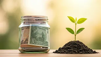 Wealth Mentors Direct Beginners Towards Establishing Liquid Funding Reserve