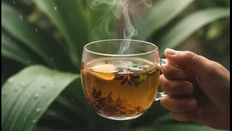 Monsoon Health Starts With Small Daily Habits