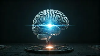 Related Stories banner