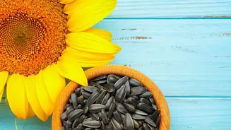 Understanding Sunflower Seeds At Breakfast: Simple Ways To Add Seeds To Breakfast