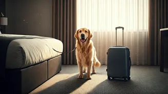 Pet-Friendly Stays Are Deciding Travel Bookings Now