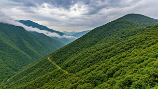 Rain Turns North India's Mountains Into Green Wonders