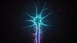 Upskilling In AI Is Basically Investing In Yourself