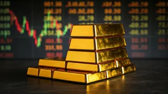 India's Economic Landscape: Key Investments, Market Trends, and Policy Updates