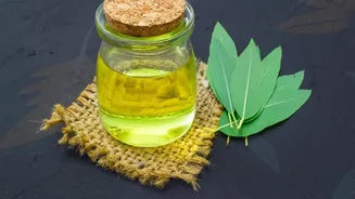 The Safest Eucalyptus Foot Soak Starts With Careful Dilution