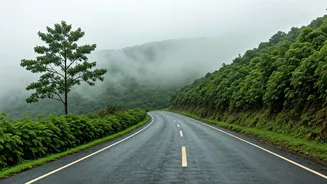 This Misty Western Ghats Trip Is Going Super Viral