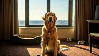 Pet Parents Want Holidays Their Dogs Can Actually Enjoy
