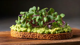 Radish Microgreens Give Your Avocado Toast An Instant Nutrient Spike