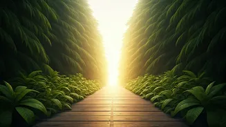 10 Things to Walk Away From for Unshakeable Peace and Growth