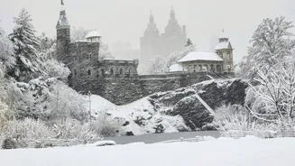 Central Park Covered in Snow - Is This the Most Magical NYC Winter Yet?