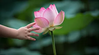 Rajkummar Rao & Patralekhaa's Daughter: A Name's Tale