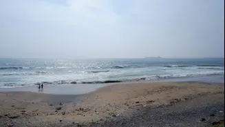 Cyclone Arnab Approaches Andhra Pradesh Coast, Red Alert Issued