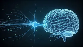 Gut Health's Hidden Role: How Your Gut Can Impact and Reverse Memory Loss