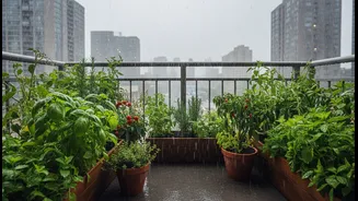 Monsoon Balcony Micro-Gardens Could Help Urban Renters and Home Gardeners Grow Useful Food in Limited Space, but Evidence Still Matters