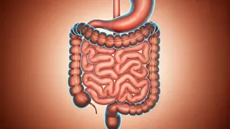 The 'Fart Walk': A Simple Post-Meal Ritual