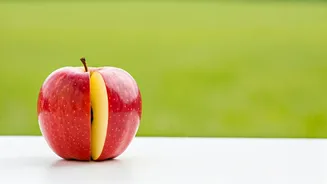 Healthy Lifestyle: Your Path to a Vibrant You