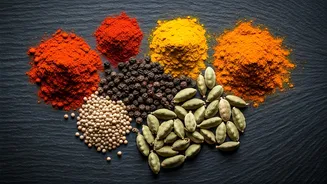 Food Adventures Start Across India
