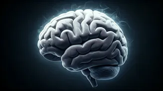 7 Brain-Draining Habits Stealing Your Productivity: Expert Advice from CMC Vellore