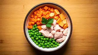 Indian Pet Parents Reject Factory Kibble For Homemade Organic Bowls