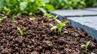Why Soil Drainage Matters More During India's Rainy Season