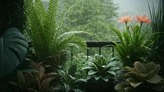 Grow A Beautiful Balcony This Monsoon