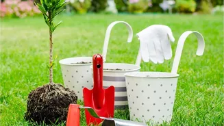 Why The Latest August Gardening Advice Strengthens The Case For Root Health