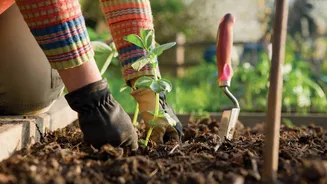 These AI tools can help your plants grow better