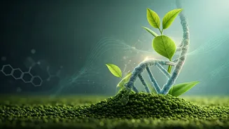 Unlock Longevity: 5 Essential Habits for Lifelong Well-being from a Longevity Doctor