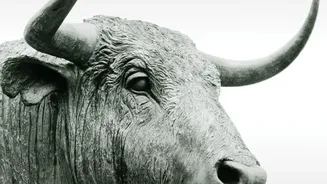 Why Indian Investors Are Increasingly Turning To Index Funds And ETFs