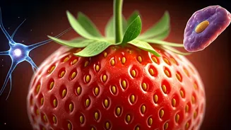 Your Daily Fruit Can Do More Than You Think