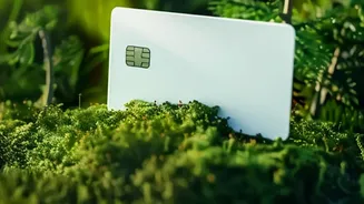 Credit Card Points Hacks: How To Travel For Free Using Daily Cards