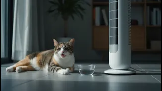 A Practical Indian Checklist for Indoor Pet Overheating in Humid Homes and Cooling