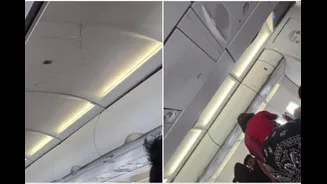 DGCA Launches Detailed Probe Over Air India Phuket-Delhi Flight's Mid-Air Altitude Drop; 17 Injured