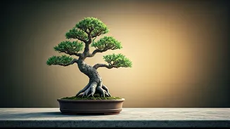 Related Stories banner