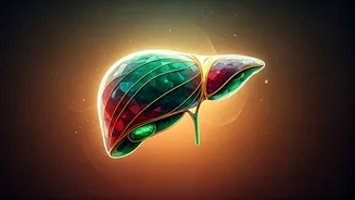 Unlocking Liver Health & Digestion: 3 Essential Yoga Poses & Mudras for a Lighter You