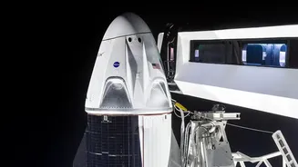 SpaceX's Starship Tower-Catch Strategy Explained: Why A Tower Catch Could Simplify Rocket Reuse