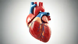 Unveiling Hidden Heart Risks: The Simple Push-Up Test Explained