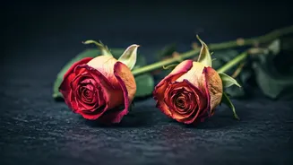 Is Your Marriage Fading? 5 Subtle Signs It Needs Help & How to Rekindle the Flame