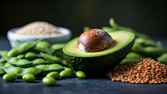 5 Protein-Packed Foods for Gut Health & Digestion