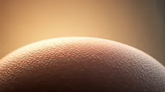 Related Stories banner