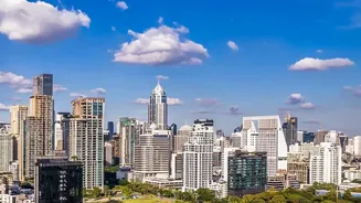 Urbanites seek nature for mental reset