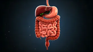 Holiday Gut Woes? Savvy Traveler's Guide to Avoiding Tummy Troubles Abroad