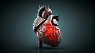 Haryana's Youth Heart Attack Crisis: Nearly 18,000 Deaths in 6 Years Sound Alarm