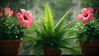 The Best Rain-Loving Plants For Small Balcony Spaces