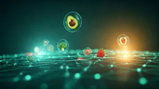 Nourish Your Well-being: A Deep Dive into the Virtual Nutrition Platform